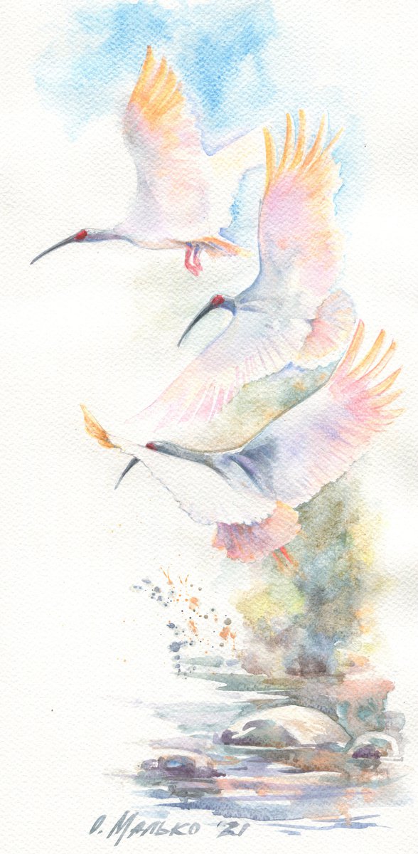 Rising Toki / Orange pink birds in the blue sky Original artwork Ibises picture Wild natur... by Olha Malko