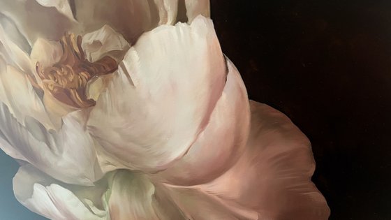 Old Holland flower 6