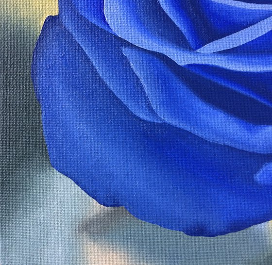 Royal Blue Rose