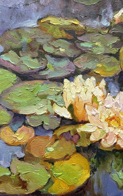 Water Lilies by Andriy Vutyanov