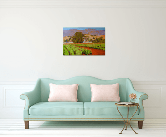 Southern California Vineyards