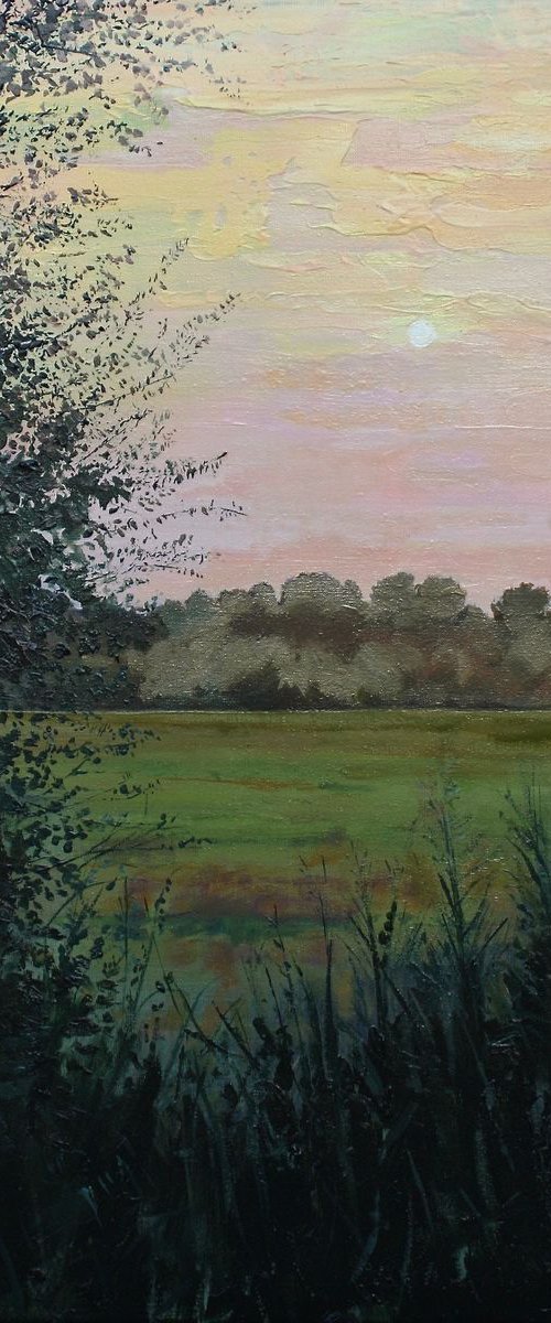 Evening on South Meadow by Simon Jones