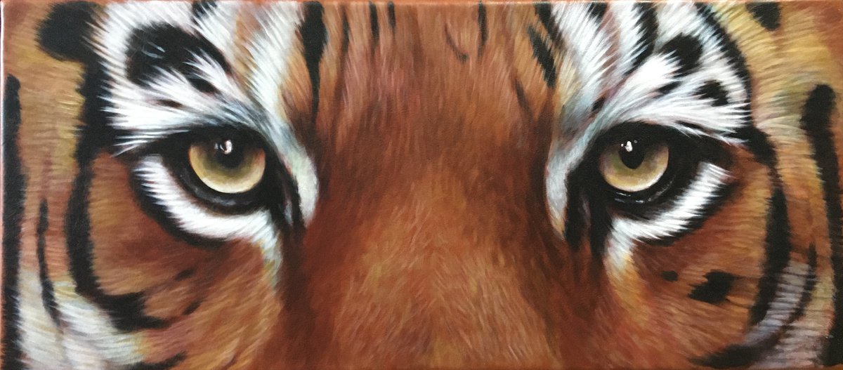 Tiger Eyes by Karl Hamilton-Cox