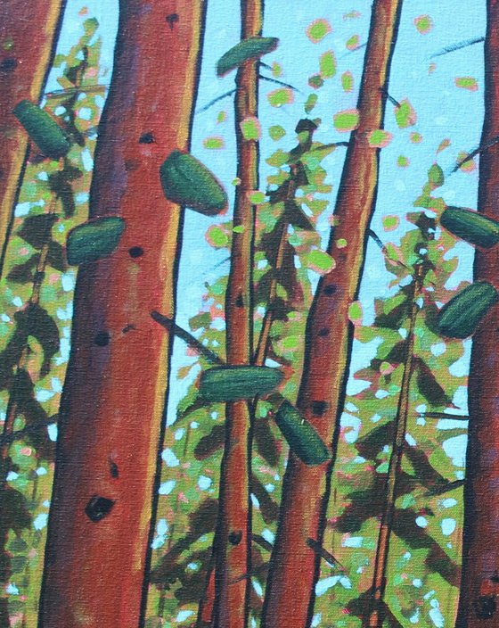 Trees of the Forest