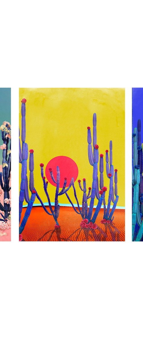 Cactus Flower, Cactus Blue, Cactus Sunset - all Framed by Nadia Attura