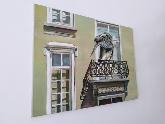 Grey Heron In Balcony