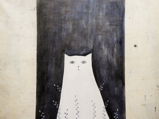 The white cat in the night