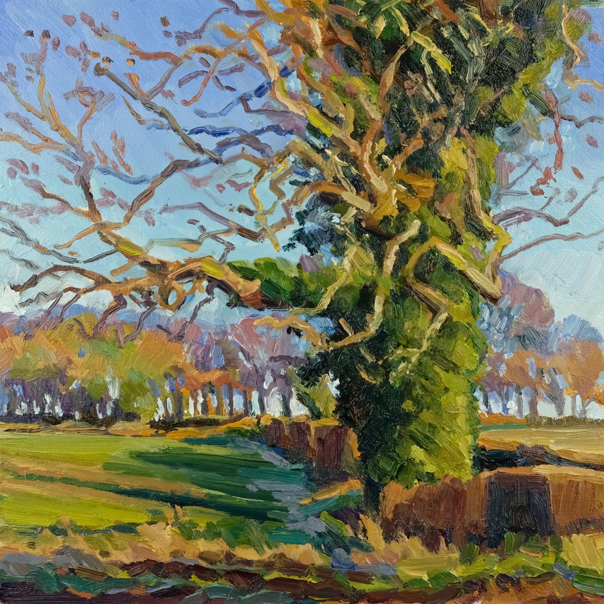 Expressive Landscape Oil Painting By Jeff Parker, 12 X 12, Shadow Of The Oak, Original Artwork