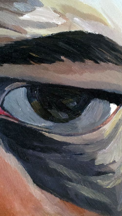 Eye Series by Adam Grose MA RWAAN
