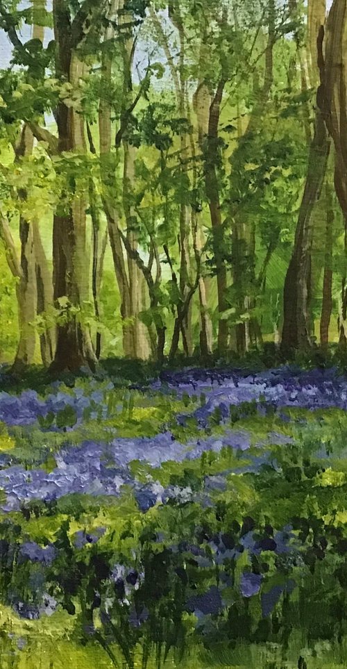 A walk through the Bluebell Woods by Valerie Jobes