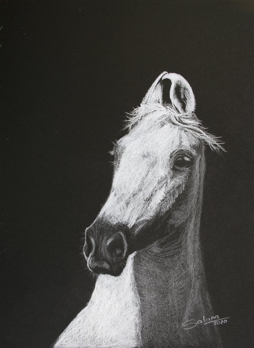 Horse II /  ORIGINAL PAINTING by Salana Art Gallery