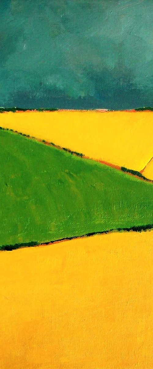 Summer Fields by David J Edwards