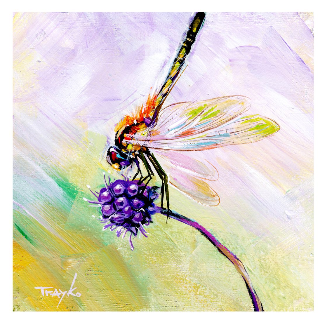 Dragonfly Acrylic Painting By Trayko Popov Artfinder   43480d472cbf4c38a8c4594d5903ede8 Opt 