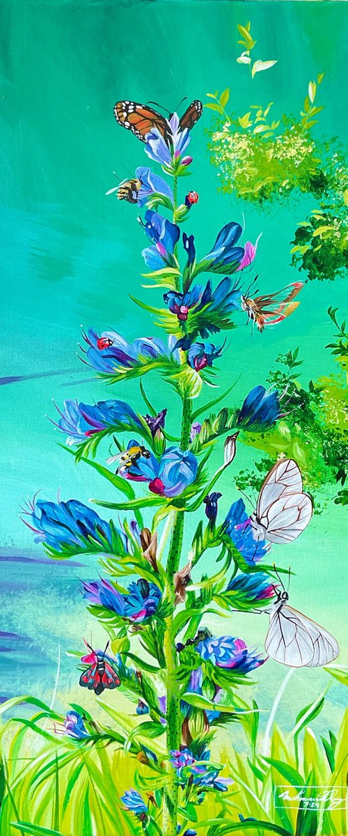 Viper's Bugloss by Amani Muhammad