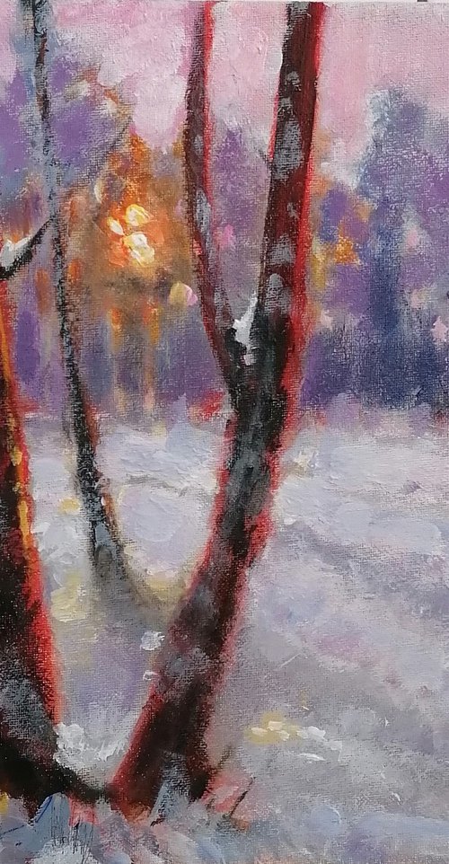 Winter Scene 1 by Alan Harris