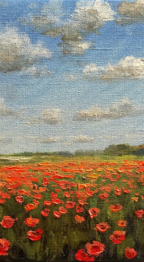 Poppy horizon by Oleh Rak