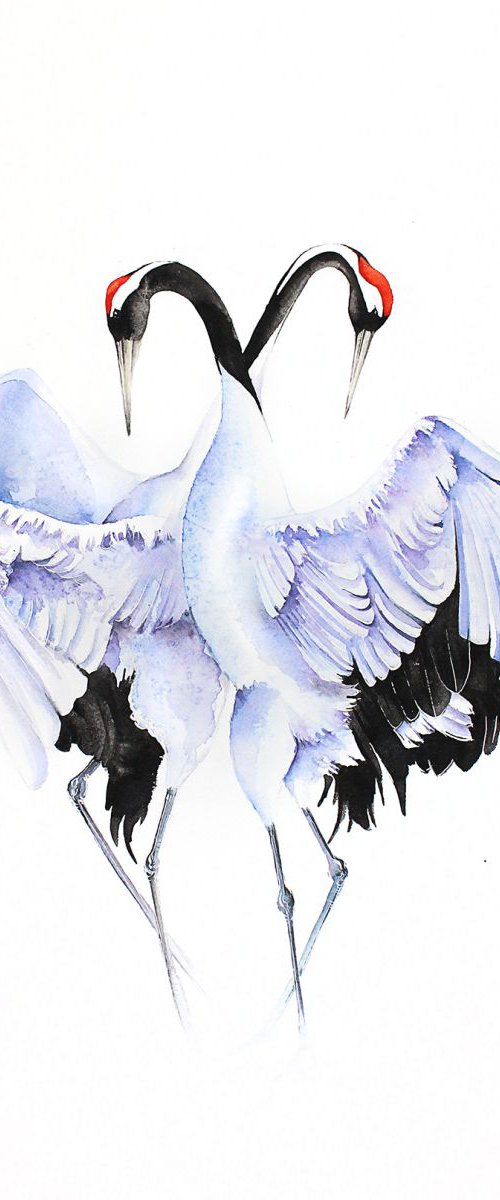 CRANES LOVE DANCE  bird, birds, animals, wildlife watercolour painting by Karolina Kijak