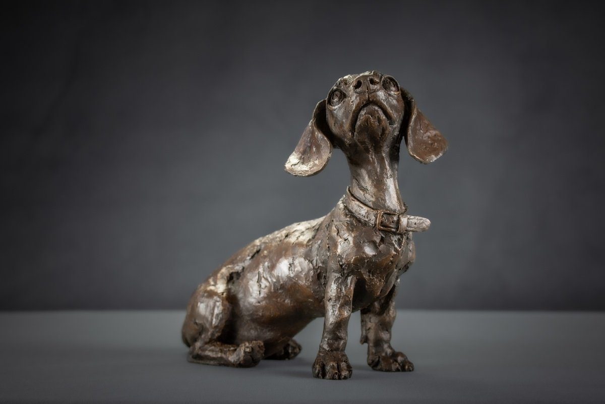 Pudding Dachshund Puppy by Tanya Russell