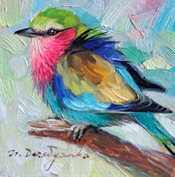 Bird