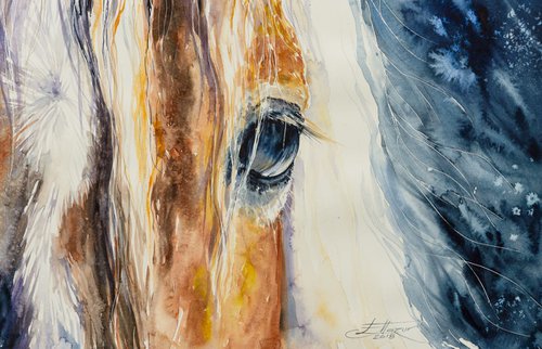 Horse II by Eve Mazur