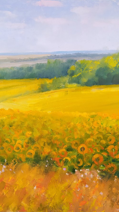 Sunflowers field by Valentina Andrukhova