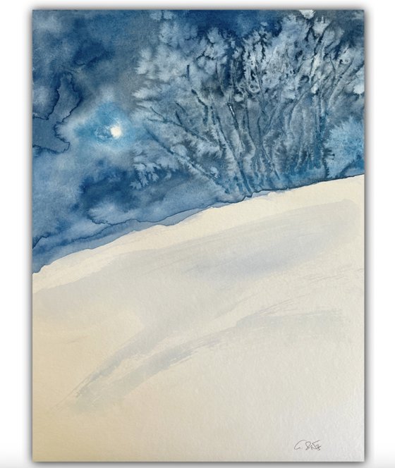 Winter Night