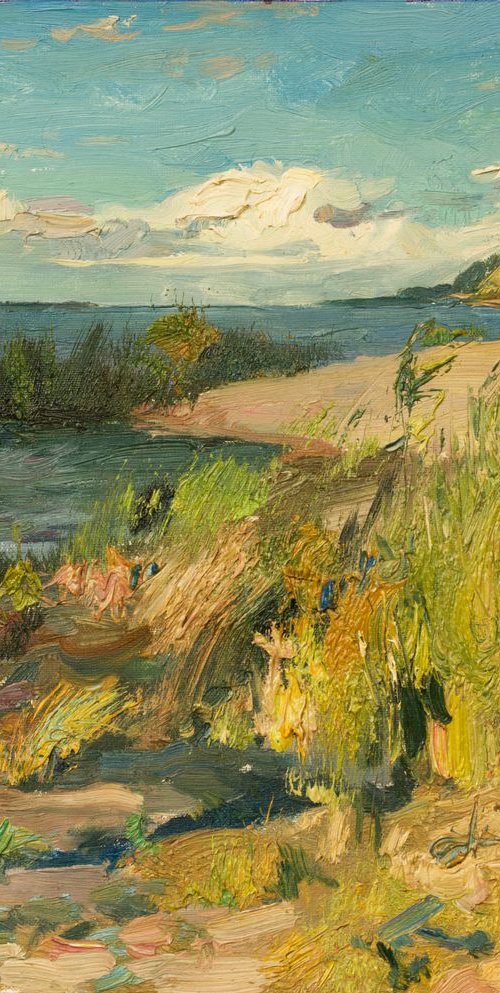 Sunny day on the Dnieper river by Sergey Kostov