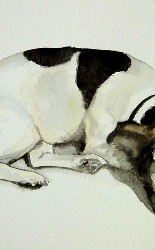 Turnip Sleeps by Amanda Deadman