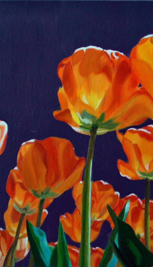 Tulips by Simona Tsvetkova