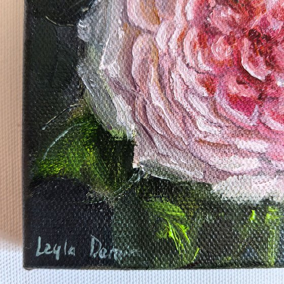 Roses bouquet