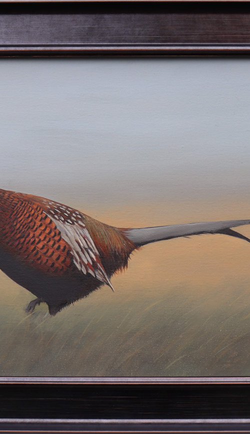 Pheasant in the Field by Alex Jabore