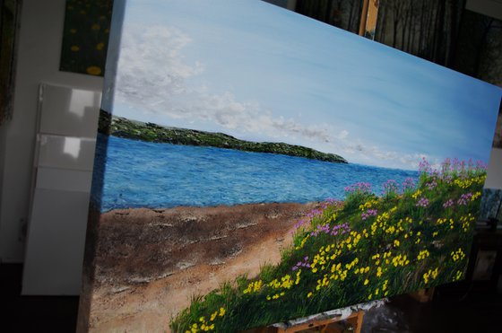 Sea Thrift and Gorse on Hibre Island  50cm x 100cm