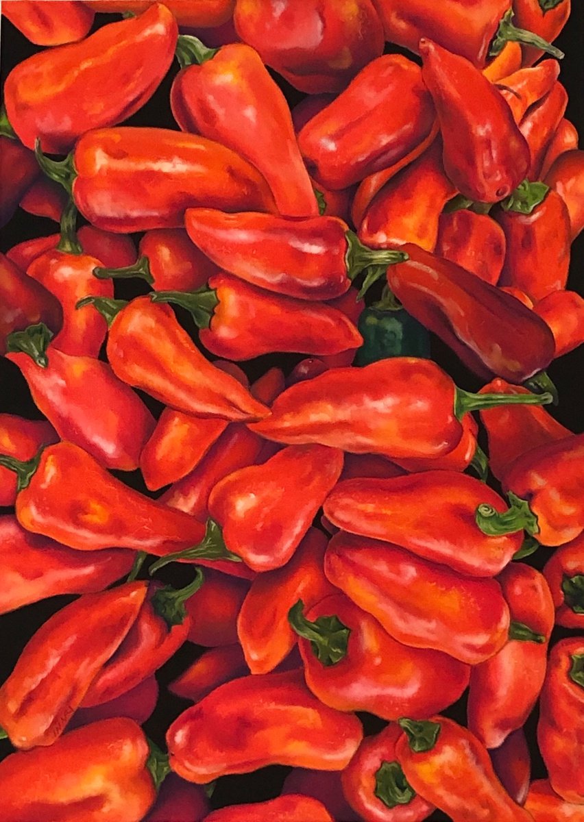 Red chilli peppers still life drawing by Inari