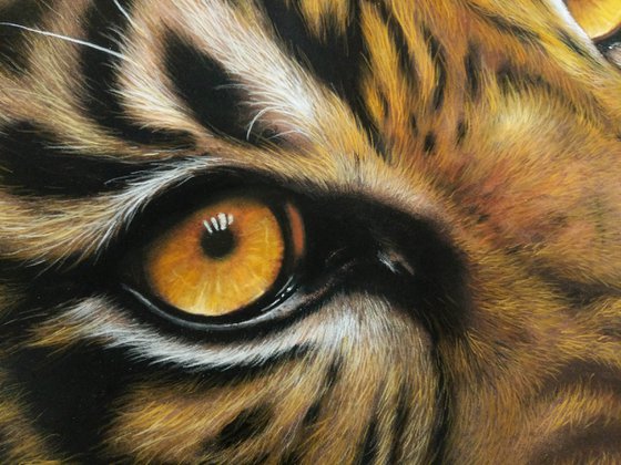 Tiger's Gaze Original Big cat Painting)