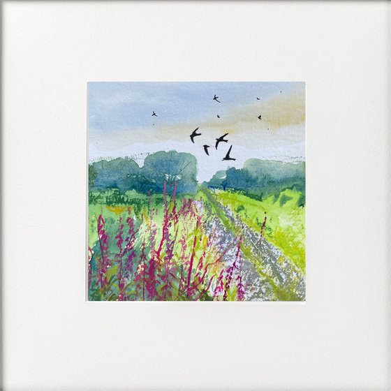 4 swallow watercolours