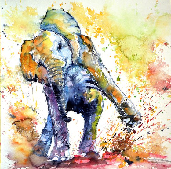 Playing elephant baby IV
