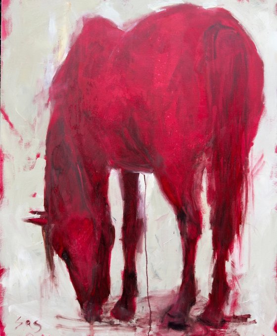 Red horse. The hole