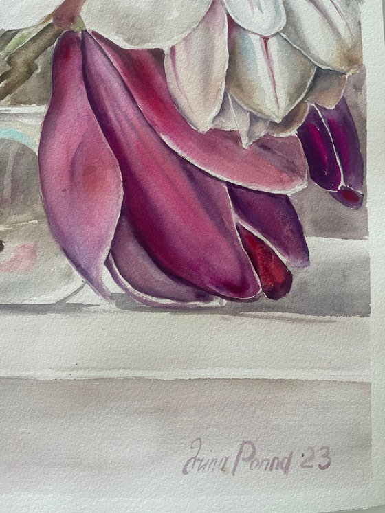 Magnolias