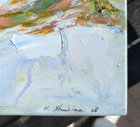 Late Winter in the Mountains