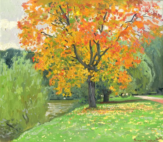 Autumn maple by the pond