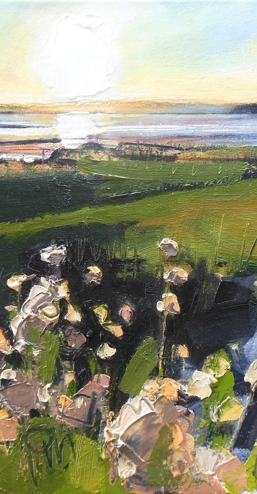 Early Evening Light and Wild Flowers by Ben McLeod