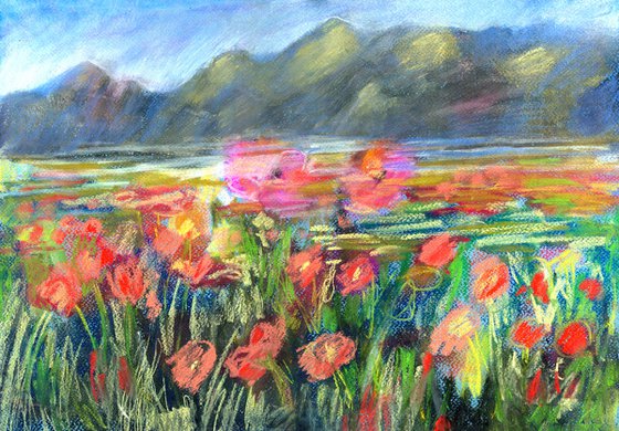 Mountain Meadow