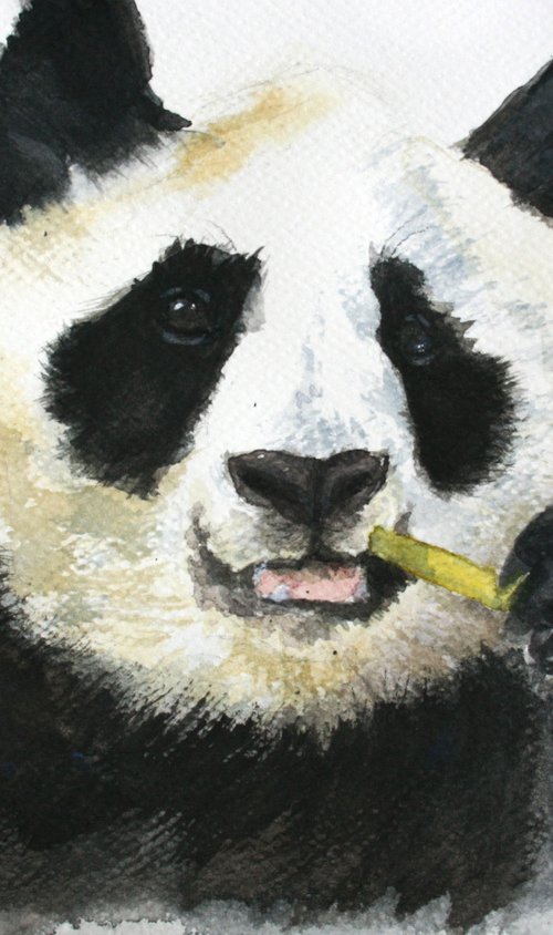 Panda III - Animal portrait /  ORIGINAL PAINTING by Salana Art Gallery