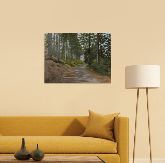 Rocky Road Through the Pine Forest