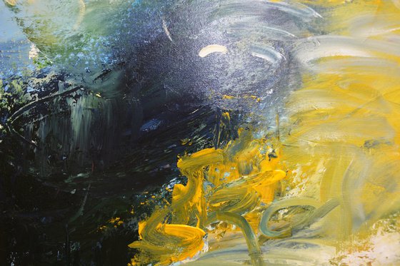 Murmurs of the Water Lily