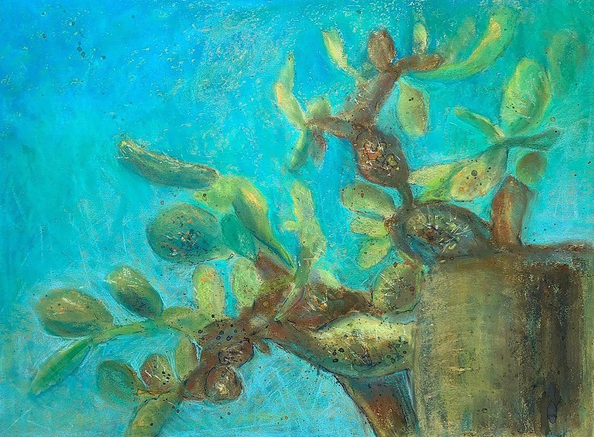 CACTI- Soft pastel drawing on paper, green colot, needles sky, plant, blue color, office d... by Tatsiana Ilyina