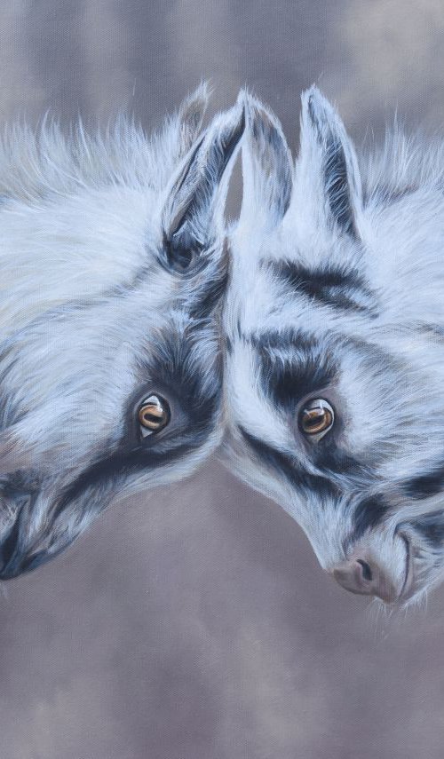 'Head to Head' by Nicola Colbran