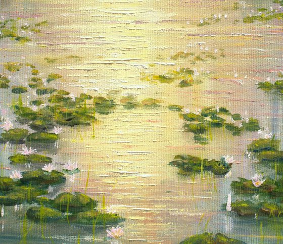 Lilies pond