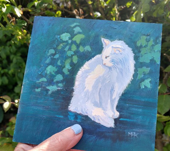 White Cat