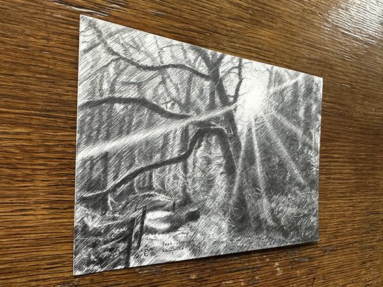 Beek-Ubbergen – 12-01-26